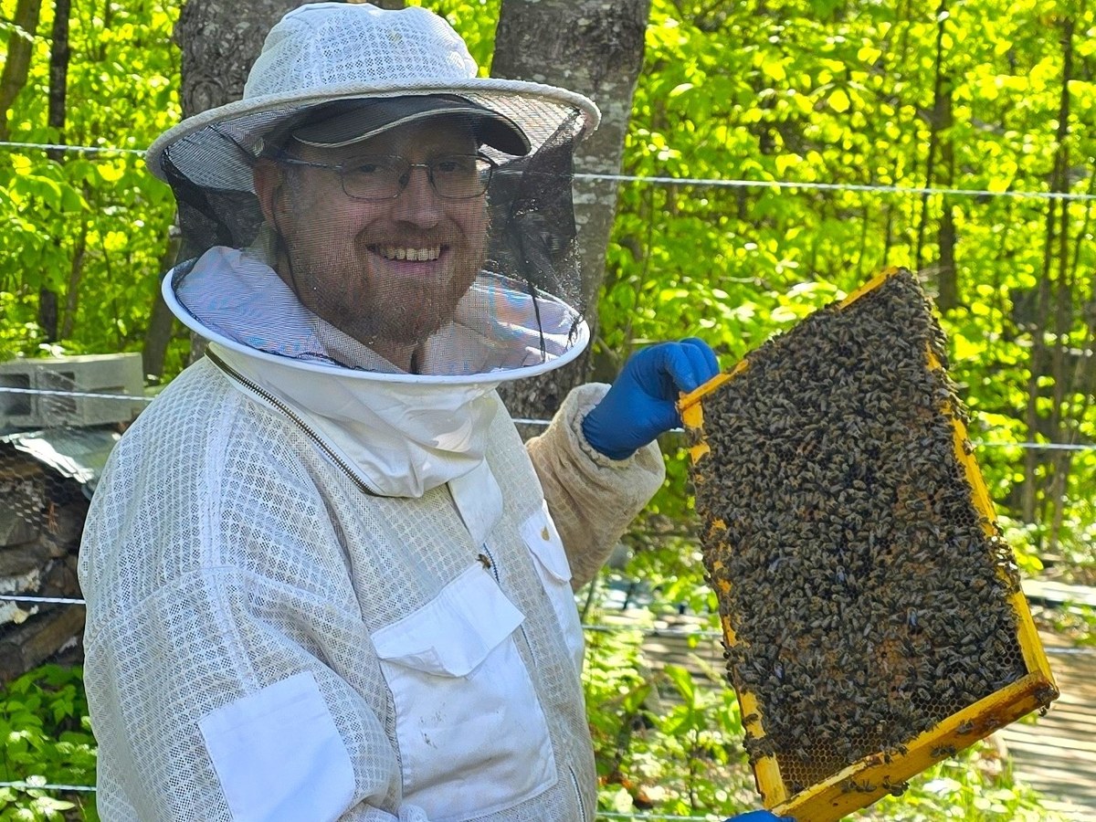 Colin Whitehouse holding a frame covered with honey bees at White Rocks Apiary